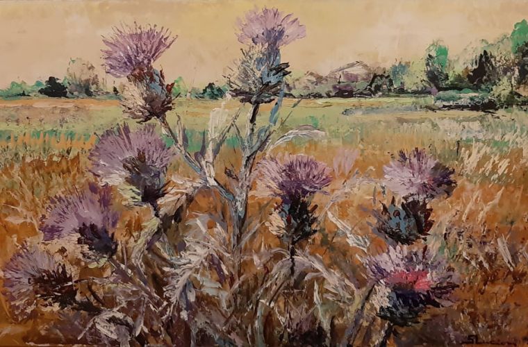 2022 • Cardi al campo