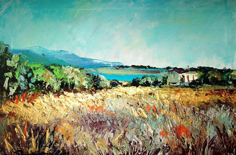 2003 • Sardegna. Campagna