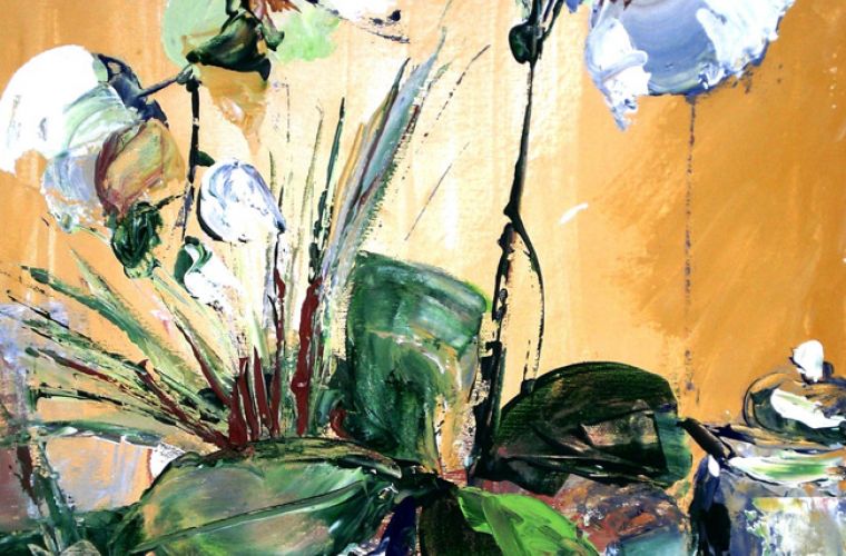 2006 • Orchidea bianca